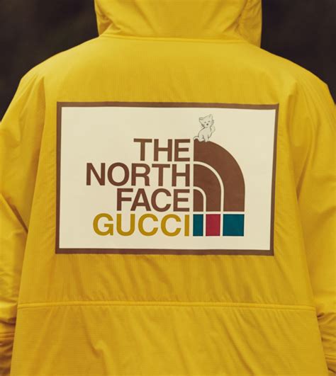 north face 700 gucci|Gucci north face icon.